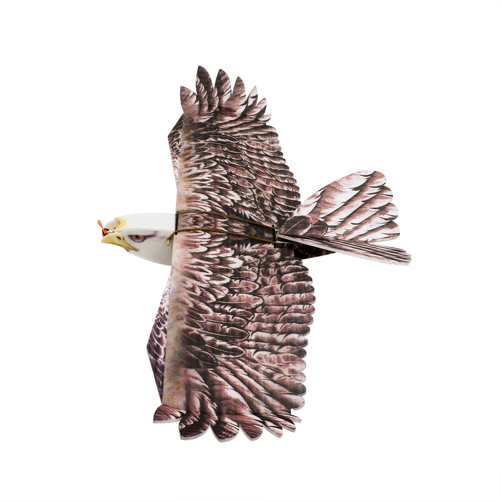 Model Kit Expert - DW Hobby Eagle II EPP Flugzeug