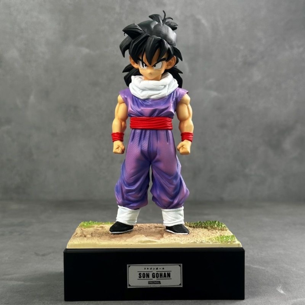 17-37cm Anime Dragon Ball Z Fi – Model Kit Vegeta Bewertung und Preis