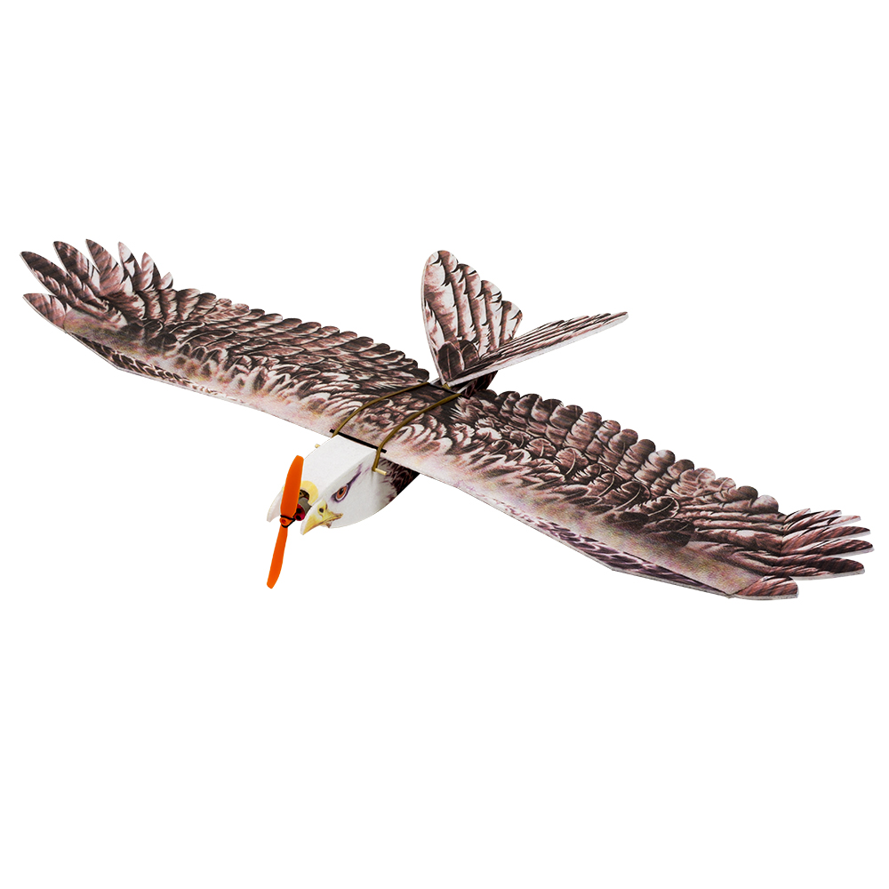 DW Hobby Eagle II EPP Flugzeug – Model Kit Expert Bewertung und Preis