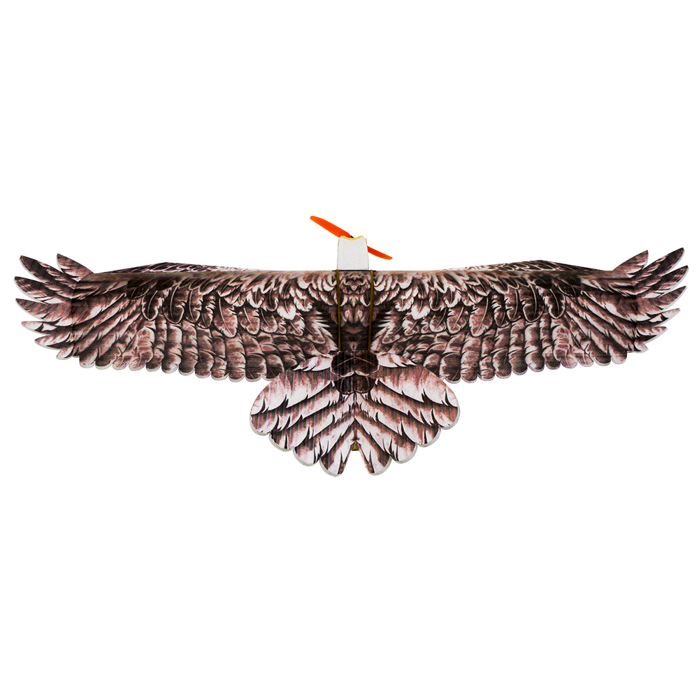 DW Hobby Eagle II EPP Flugzeug – Model Kit Expert Bewertung und Preis