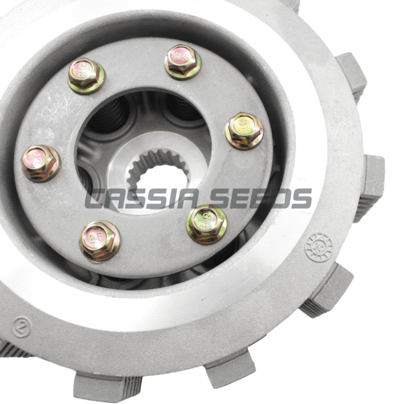 Motorrad-Kupplungsbaugruppe Sc – Model Kit Engine Bewertung und Preis